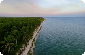 INFINITE COASTS